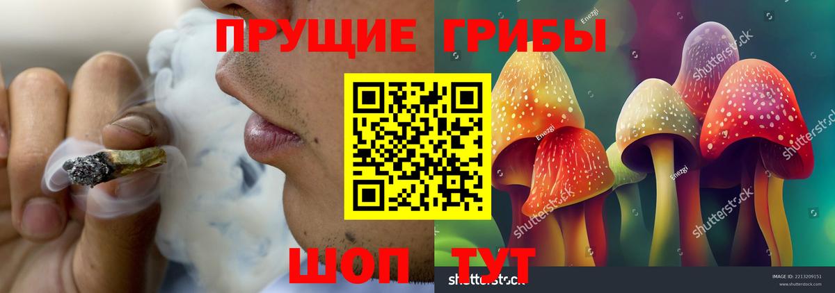 Псилоцибиновые грибы Psilocybine cubensis Нягань